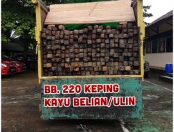 220 Batang Kayu Belian Tanpa Dokumen Diamankan Polres Melawi